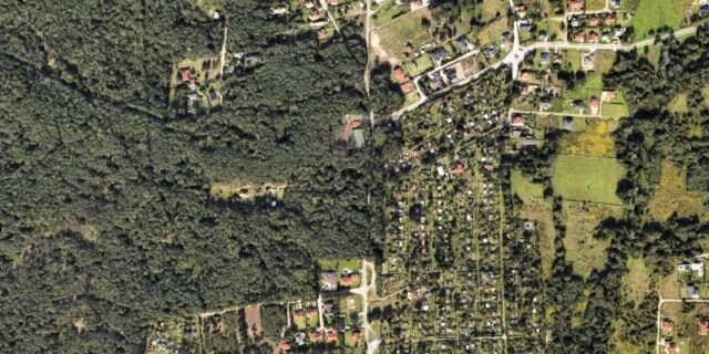 Lasy białołęckie (fot. Google Earth)